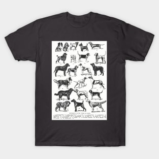 TYPES OF DOGS VETERINARY ILUSTRATION T-Shirt